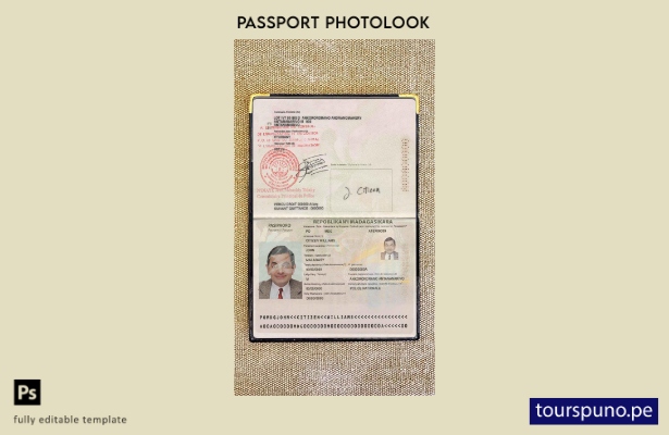 Plantilla de apariencia de foto de pasaporte de Madagascar lista para imprimir